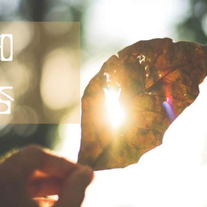 邮件代理小鲤导航
