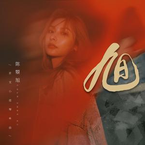 邮件代理小鲤导航
